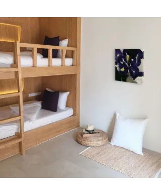 Iris Laevigata - Obraz na płótnie