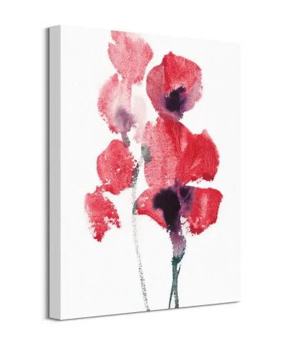 Turkenlouis - Obraz na płótnie