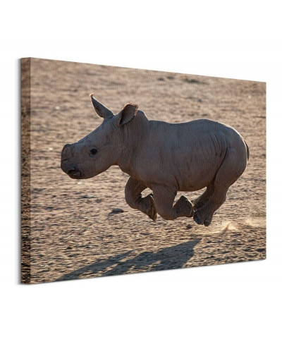 Pete Seaward (Rhino Run) - Obraz na płótnie
