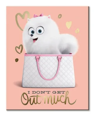 The Secret Life Of Pets (I Don'T Get Out Much) - Obraz na płótnie