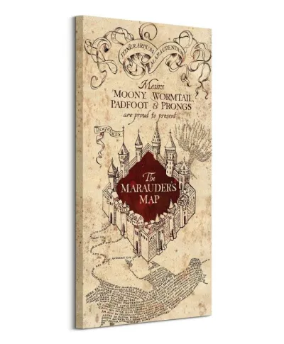 Harry Potter (The Marauders Map) - Obraz na płótnie