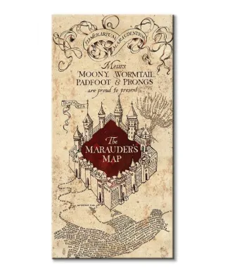 Harry Potter (The Marauders Map) - Obraz na płótnie