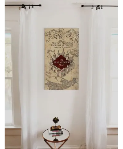 Harry Potter (The Marauders Map) - Obraz na płótnie