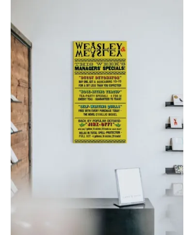 Harry Potter (Weasley & Weasley Specials) - Obraz na płótnie