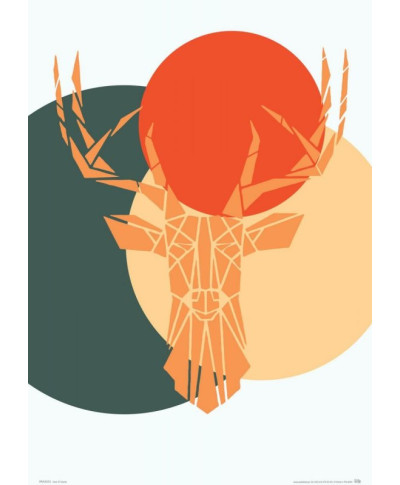 Deer colour - plakat A3