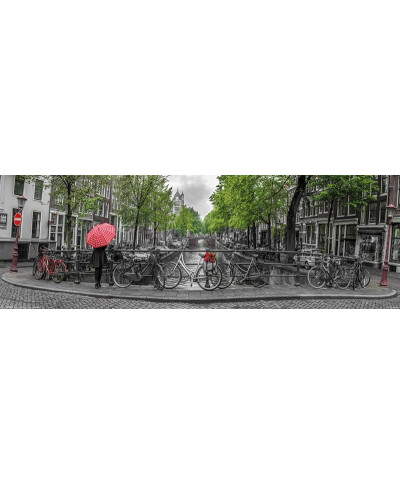Amsterdam Czerwone Tulipany i Rowery - plakat
