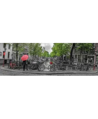Amsterdam Czerwone Tulipany i Rowery - plakat