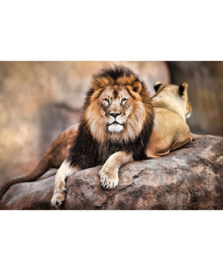 Lew Król Zwierząt - plakat