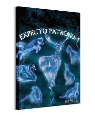 Harry Potter (Patronus) - obraz na płótnie