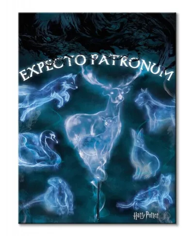 Harry Potter (Patronus) - obraz na płótnie