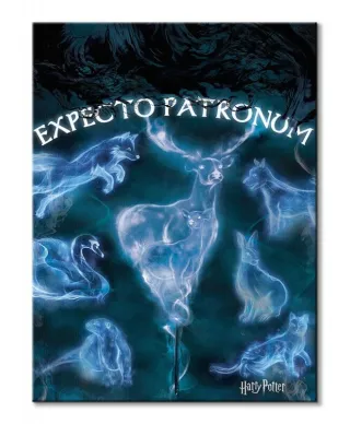 Harry Potter (Patronus) - obraz na płótnie