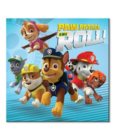 Paw Patrol On A Roll - obraz na płótnie