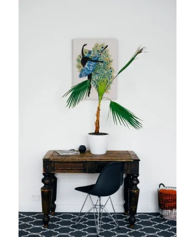 Arabesque - obraz na płótnie