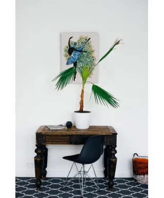 Arabesque - obraz na płótnie