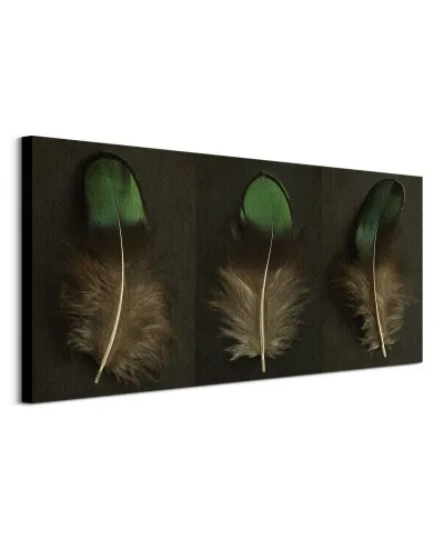 Green Peacock Feather Triptych - obraz na płótnie