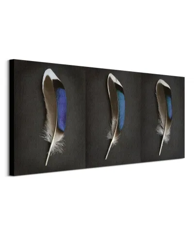 Sapphire Mallard Feather Triptych - obraz na płótnie