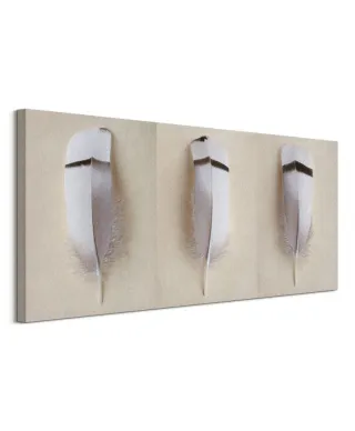 Egyptian Goose Feather Triptych - obraz na płótnie