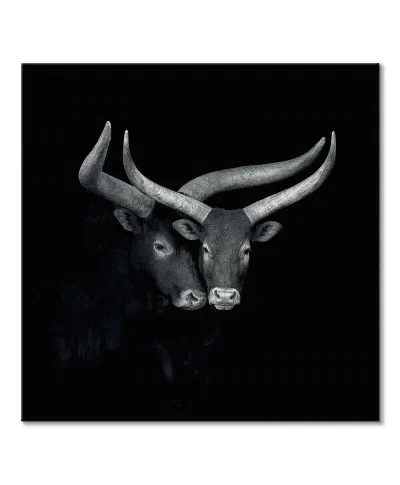 Watusis - obraz na płótnie