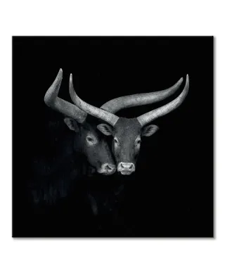 Watusis - obraz na płótnie