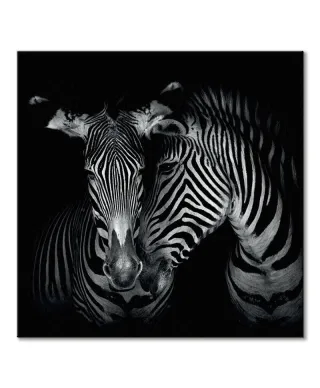 Secrets - obraz na płótnie