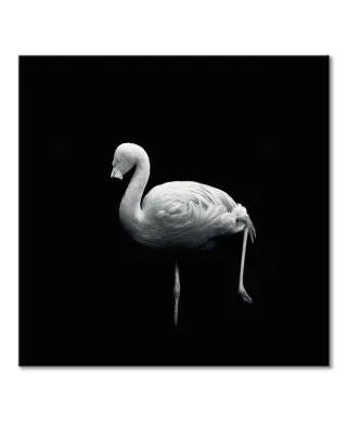 Wanna Play Croquet - obraz na płótnie