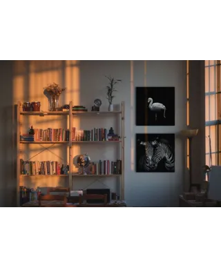 Wanna Play Croquet - obraz na płótnie