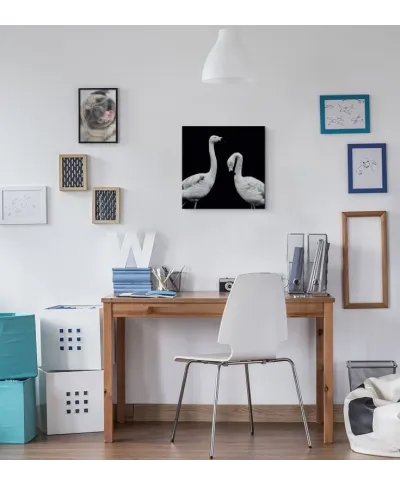 Phoenicopterus Roseus - obraz na płótnie