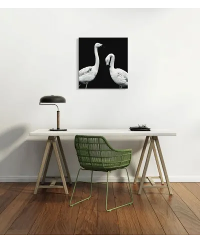 Phoenicopterus Roseus - obraz na płótnie