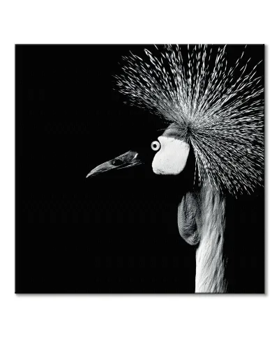 Balearica Regulorum - obraz na płótnie