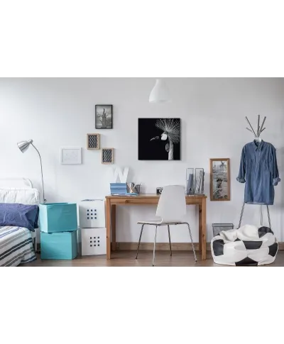 Balearica Regulorum - obraz na płótnie