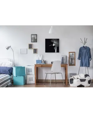 Balearica Regulorum - obraz na płótnie