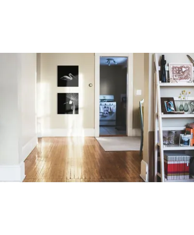 Balearica Regulorum - obraz na płótnie