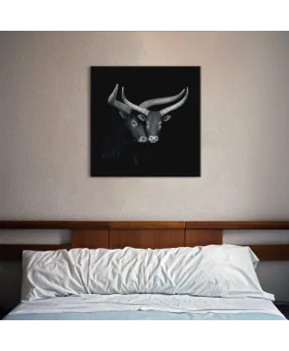 Watusis - obraz na płótnie