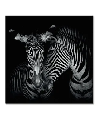 Secrets - obraz na płótnie