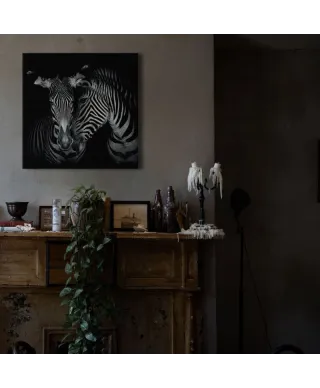 Secrets - obraz na płótnie