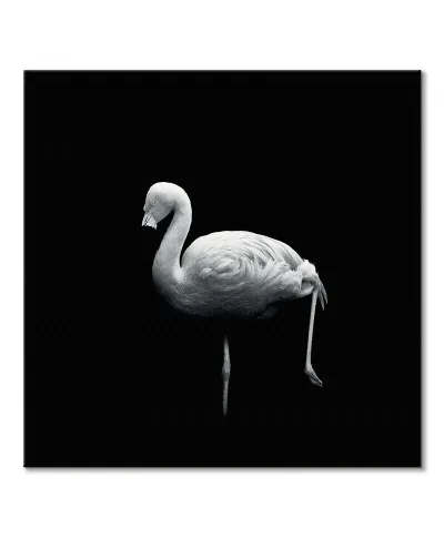 Wanna Play Croquet - obraz na płótnie