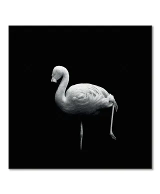 Wanna Play Croquet - obraz na płótnie