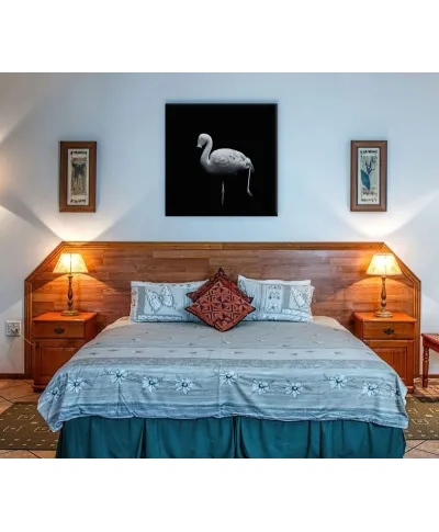 Wanna Play Croquet - obraz na płótnie