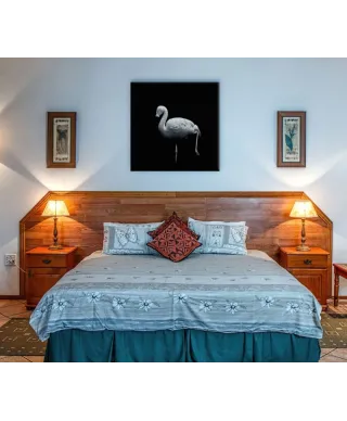 Wanna Play Croquet - obraz na płótnie