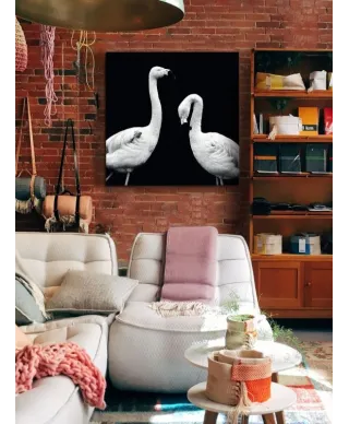 Phoenicopterus Roseus - obraz na płótnie