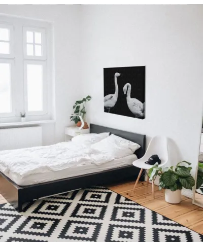 Phoenicopterus Roseus - obraz na płótnie