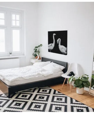 Phoenicopterus Roseus - obraz na płótnie