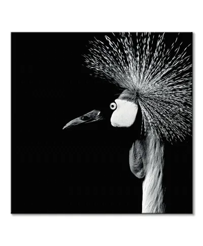 Balearica Regulorum - obraz na płótnie