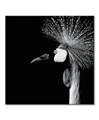 Balearica Regulorum - obraz na płótnie