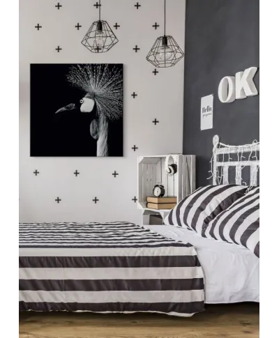 Balearica Regulorum - obraz na płótnie