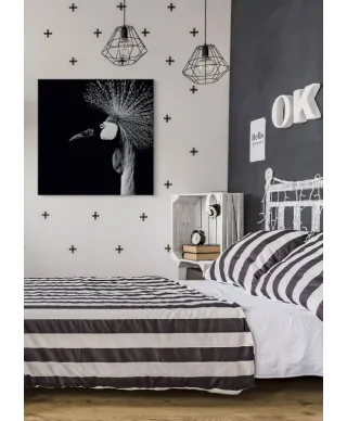 Balearica Regulorum - obraz na płótnie