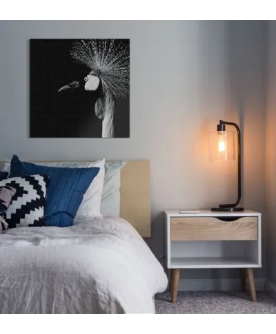 Balearica Regulorum - obraz na płótnie