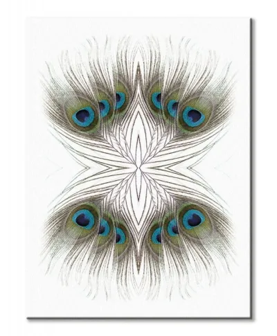 Peacock Feathers Kaleidoscope - obraz na płótnie