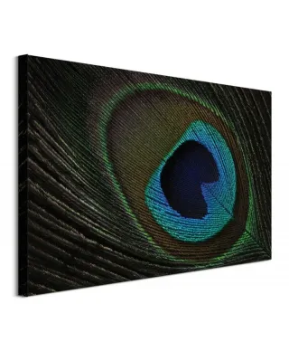 Peacock Feather Eye - obraz na płótnie