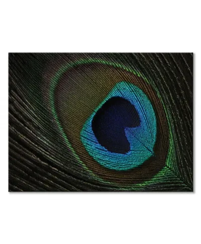 Peacock Feather Eye - obraz na płótnie